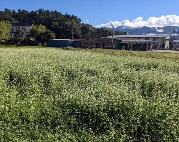 長野らしい風景 その2