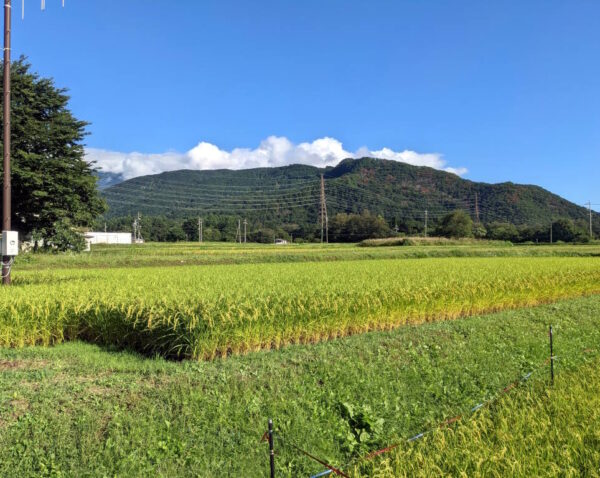 長野らしい風景 その1